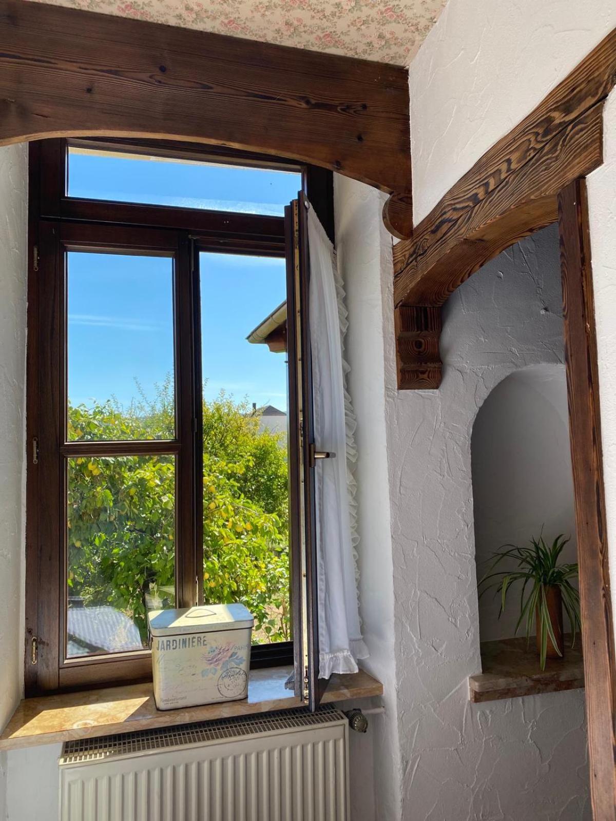 Apartmenthaus Eurenerstrasse 179 Trewir Zewnętrze zdjęcie